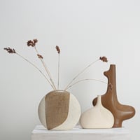 Image 6 of noma 