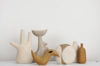 Image 8 of noma 