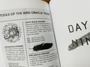 Image of The Bird Oracle