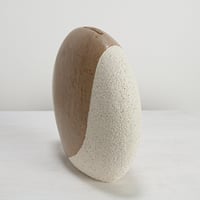 Image 3 of noma 
