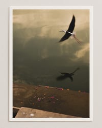 Fleeting — Pushkar, India (2024)