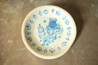 Image 3 of Plato 'Cardo'