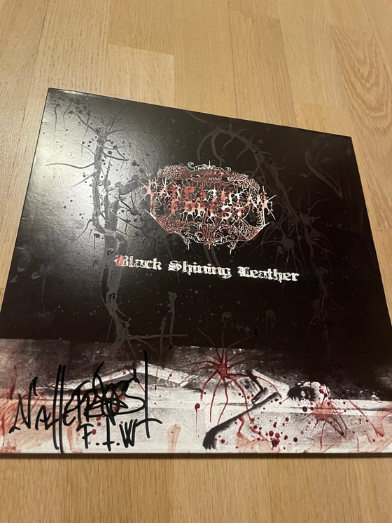 Image of Carpathian forest art in blood signed