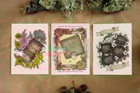 Image 2 of Pack Postales 'Al son'