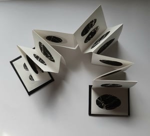 Image of Beach Pebbles Book (images may vary slightly from those in photo)