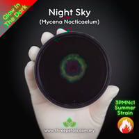 Image 1 of Night Sky (Mycena Nocticaelum) Live Mycelium Mushroom Culture Spawn