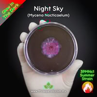 Image 2 of Night Sky (Mycena Nocticaelum) Live Mycelium Mushroom Culture Spawn