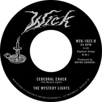 Image 2 of The Mystery Lights- Before You Realise It b/w Cerebral Crack