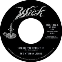 Image 1 of The Mystery Lights- Before You Realise It b/w Cerebral Crack