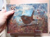 Image 2 of Wren in Autumn