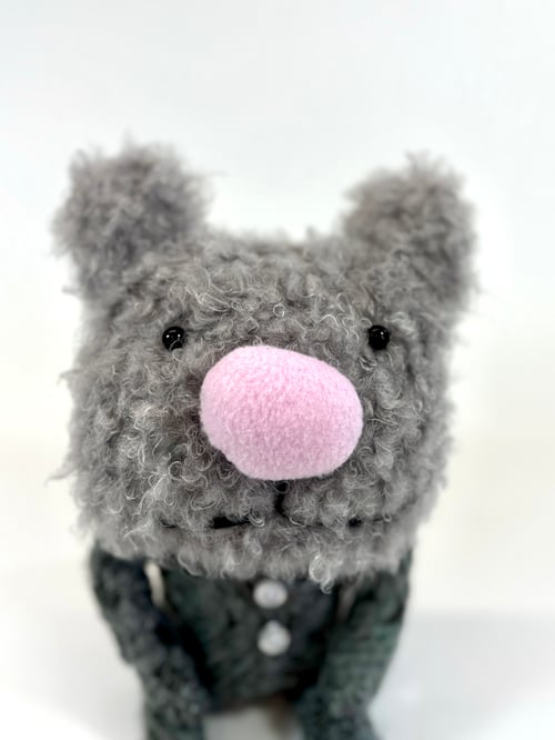 Image of Barney the bear