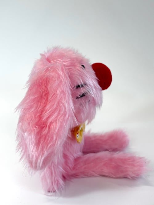 Image of Jesse rabbit