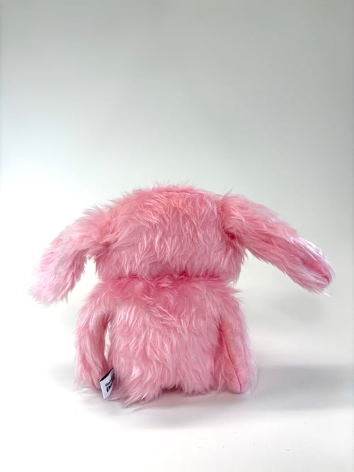 Image of Jesse rabbit