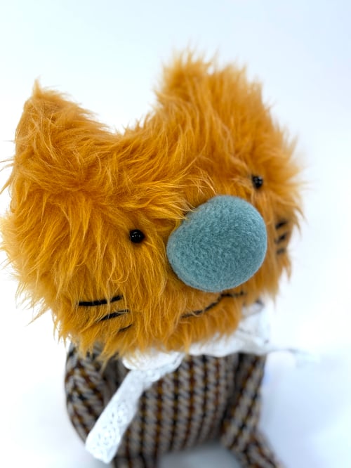 Image of Lordes the cat