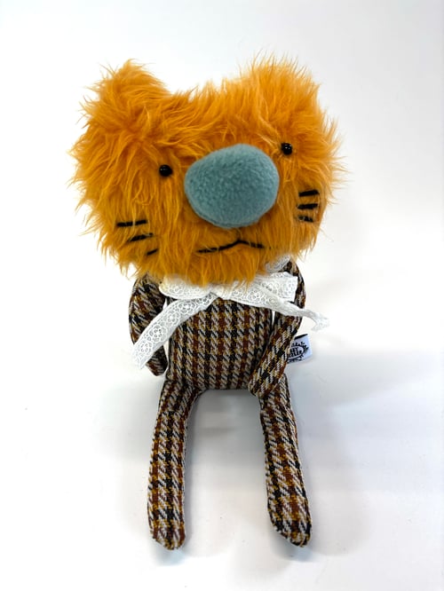 Image of Lordes the cat