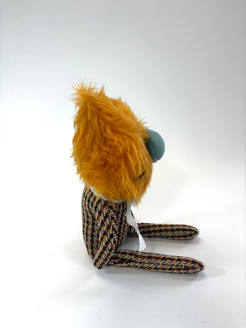 Image of Lordes the cat