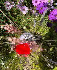 Image 2 of Roche fleurie
