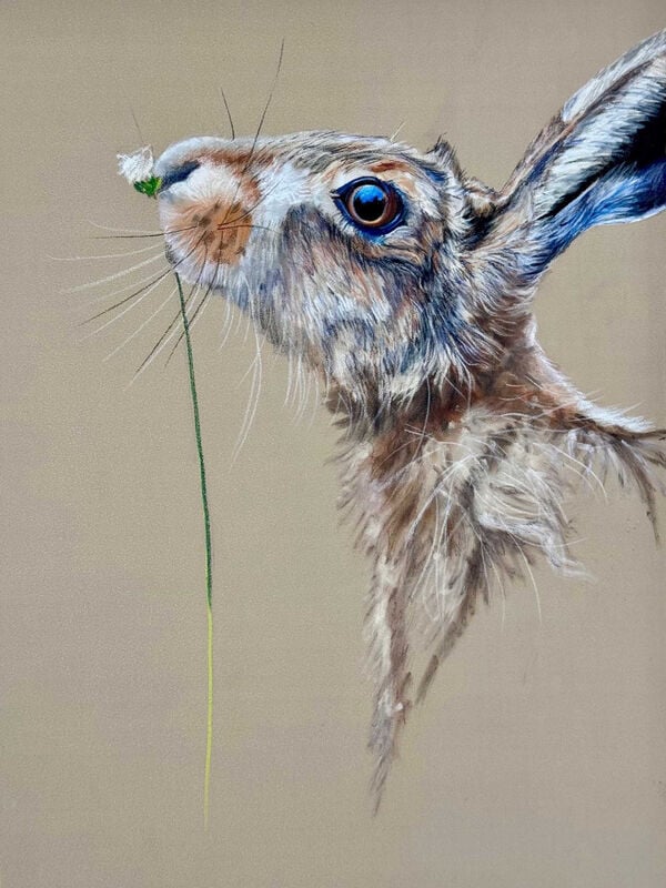 Image of Trevor Osborne 'Summer Hare' - Original Soft Pastel