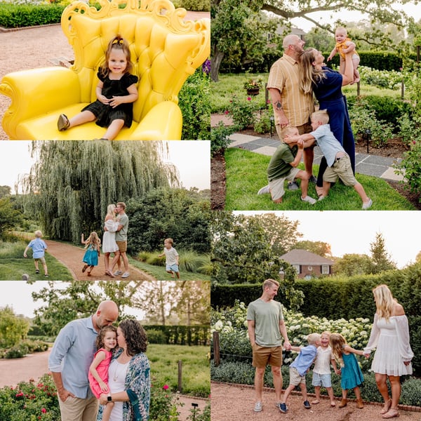 Image of CANTIGNY  Minis Monday July 28th