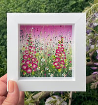 Image 4 of ‘Raspberry Parade’