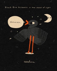 BLACK BIRD SCREAMIN **PRESALE**