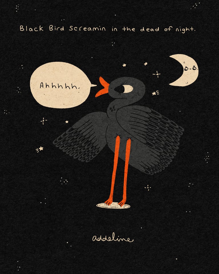 BLACK BIRD SCREAMIN **PRESALE**