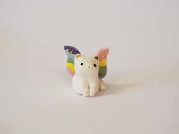 Image 1 of Rainbow Butterfly Kitten 
