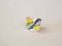 Image 2 of Rainbow Butterfly Kitten 