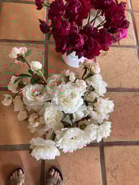 Image 3 of For Love of Peonies July 13th