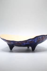 Image 4 of The eeper plate with legs 