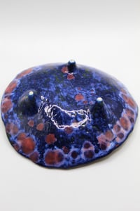 Image 6 of The eeper plate with legs 