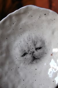 Image 1 of The eeper plate with legs 