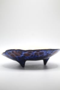 Image 3 of The eeper plate with legs 