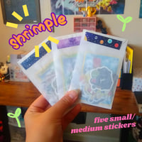Image 2 of ⭐️ MYSTERY GRAB BAGS ⭐️
