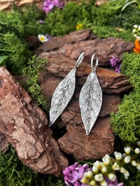 Image 1 of Leaves earrings
