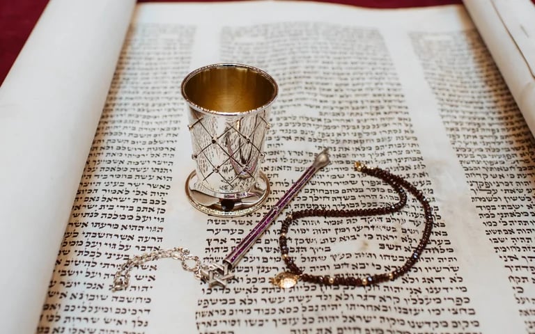 Image of Retainer  - Bat Mitzvah Photography Services for Ruby S. & Amelie R.