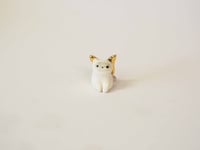 Image 1 of Gold Winged Baby Kitten 