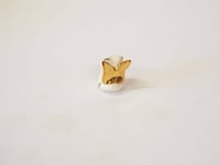 Image 3 of Gold Winged Baby Kitten 