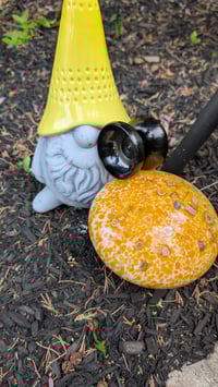 Image 3 of Oasis