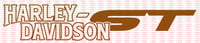 Image 2 of Harley  ST  Tank/Saddlebag graphic