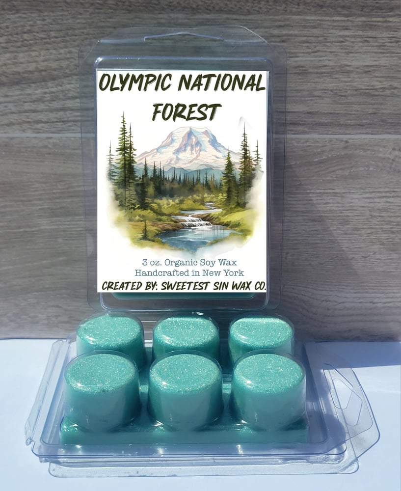 Image of Olympic National Forest 