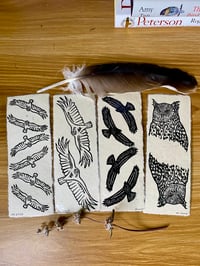Image 1 of Raptor Book Mark Set of 4 Laminated 