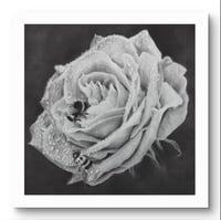 Image 1 of Giclee print “love drops” 2022