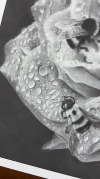 Image 2 of Giclee print “love drops” 2022