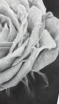 Image 3 of Giclee print “love drops” 2022