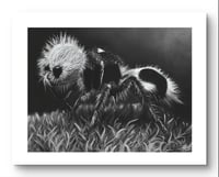 Image 1 of Giclee print “panda ant” 2022