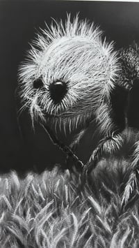 Image 2 of Giclee print “panda ant” 2022