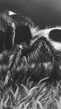 Image 3 of Giclee print “panda ant” 2022