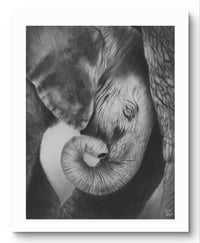  Giclee print “Comfort” 