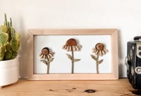 Image 2 of Coneflowers 2 - Handmade Wood Art